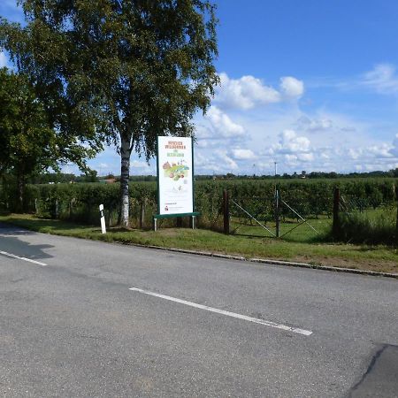 Fewo Im Alten Land Hamburk Exteriér fotografie