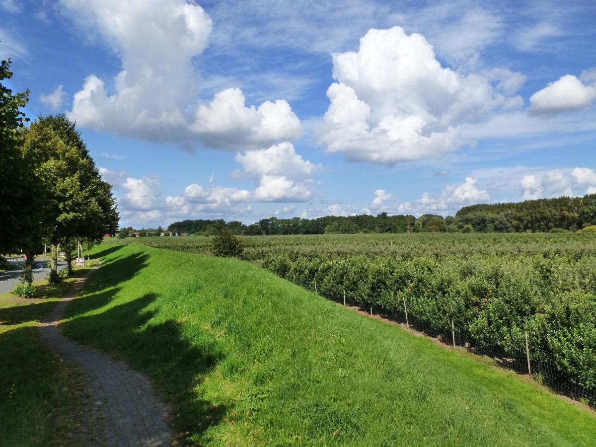 Fewo Im Alten Land Hamburk Exteriér fotografie