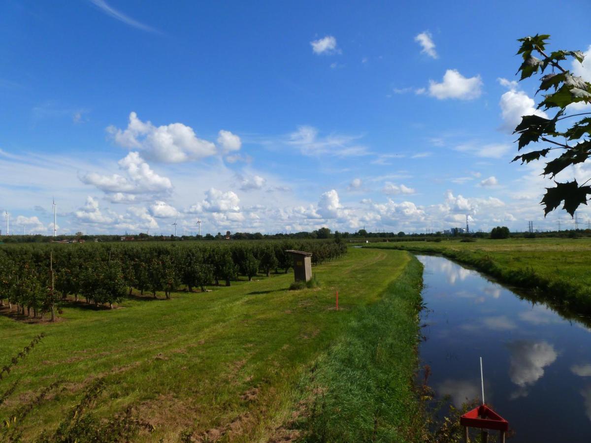 Fewo Im Alten Land Hamburk Exteriér fotografie